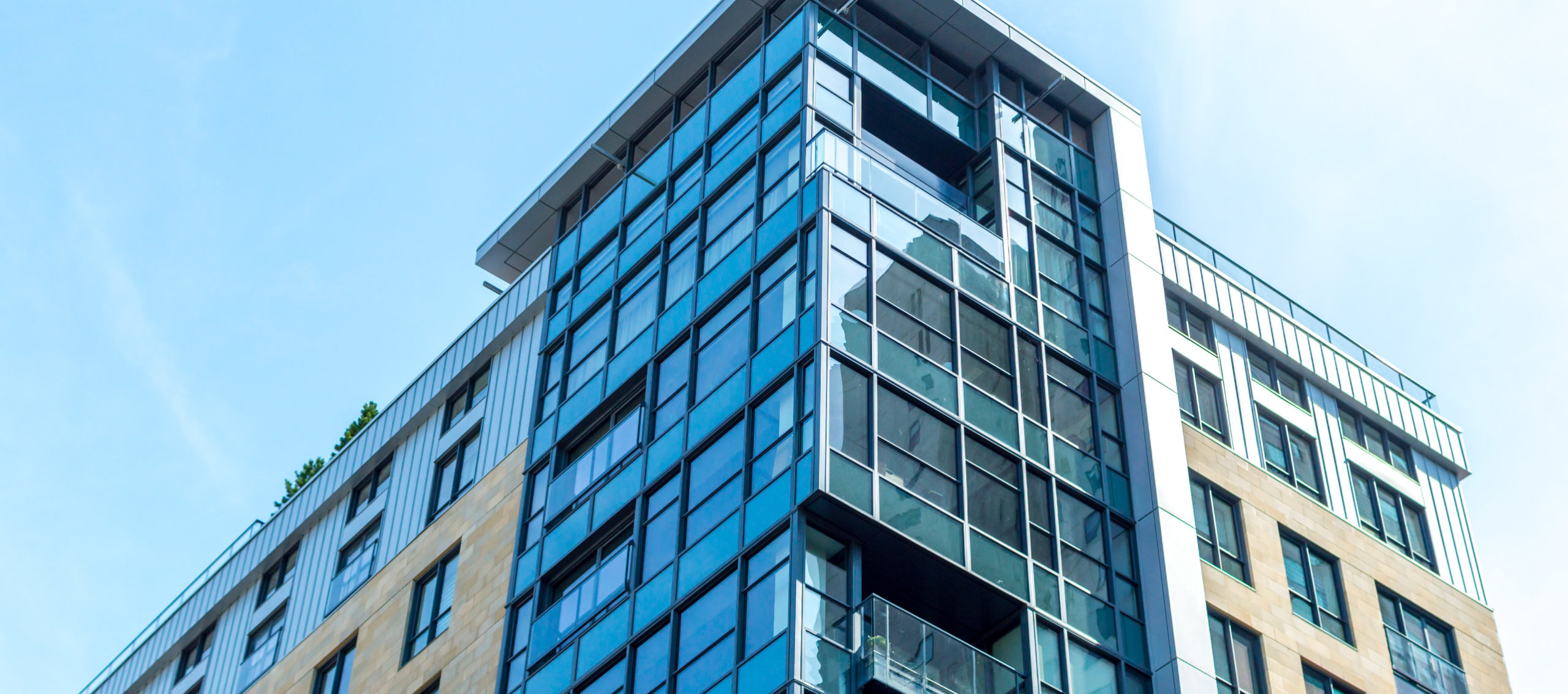 Developing With Us Michael St. Jean Realty