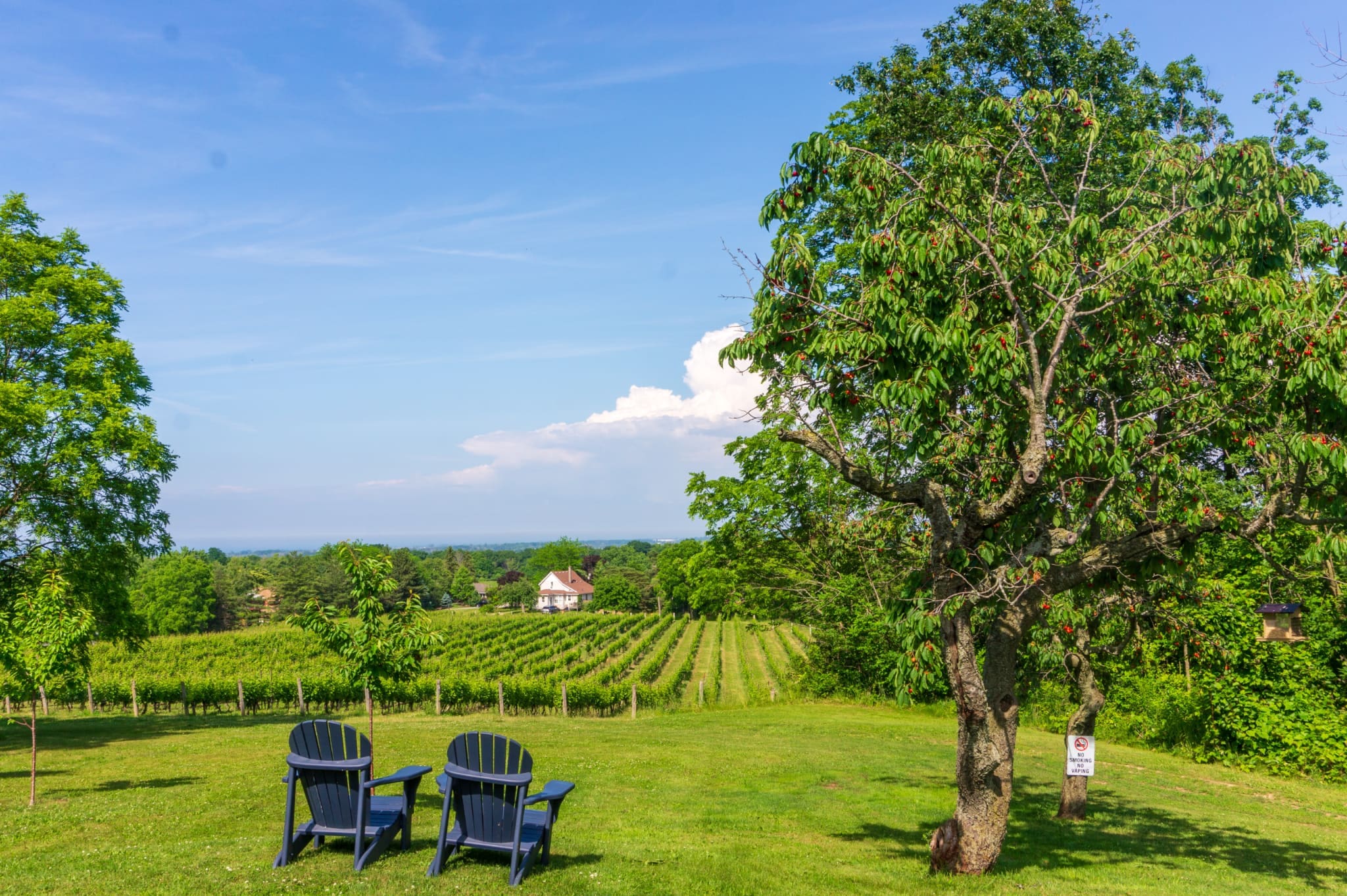 living in niagara on the lake